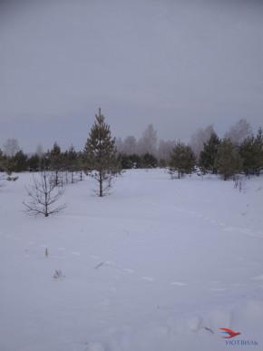 Баженово ул Южная д 7 в Краснодаре - krasnodar.yutvil.ru - фото 5 Баженово ул Южная д 7 в Краснодаре - krasnodar.yutvil.ru - фото 5