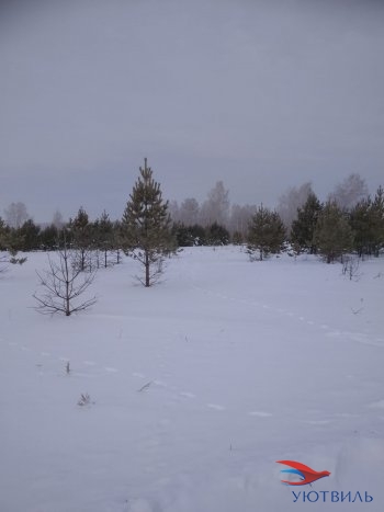 Земельный участок поселок Баженово в Краснодаре - krasnodar.yutvil.ru - фото 5 Земельный участок поселок Баженово в Краснодаре - krasnodar.yutvil.ru - фото 5