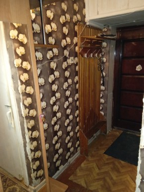 ул. Бажова,11 в Краснодаре - krasnodar.yutvil.ru - фото 9 ул. Бажова,11 в Краснодаре - krasnodar.yutvil.ru - фото 9