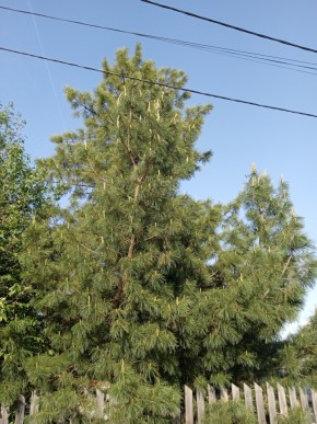ул. Полынная,29 в Краснодаре - krasnodar.yutvil.ru - фото 18